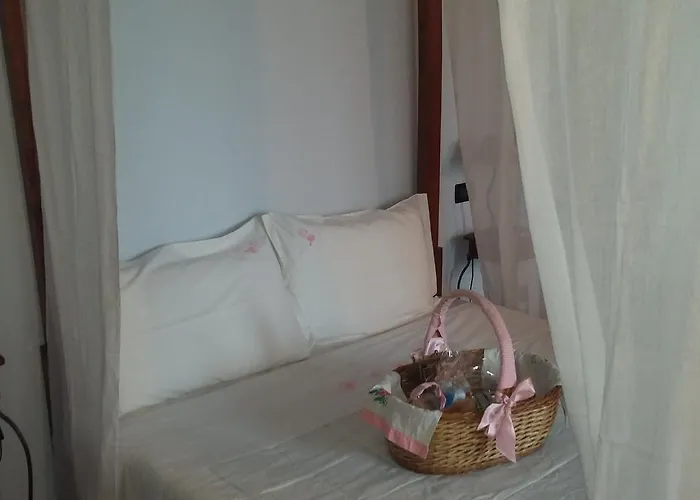 Corte カントリーハウス Stellata