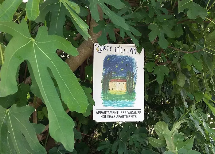 Corte Εξοχικό σπίτι